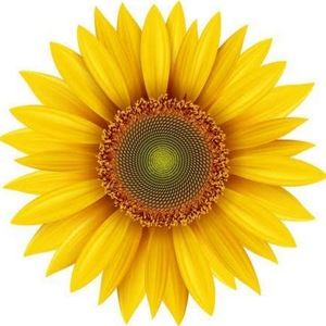 Meet your Posher, Yun